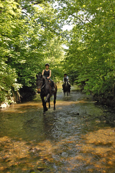 Ireland-Monaghan-Castle Leslie Equestrian Extravaganza